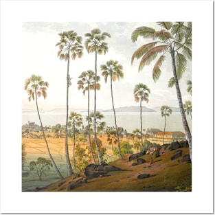 Coconut grove landscape Posters and Art